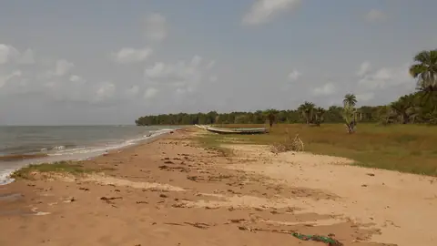 Lang sandstrand med palmer og grøn vegetation ved Varela i det nordlige Guinea-Bissau