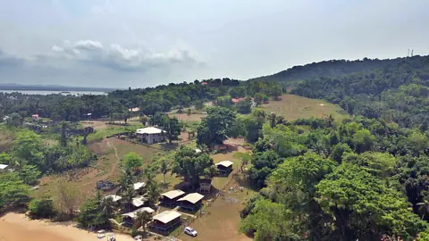 Luftfoto af grønne skovklædte bakker, palmer og hytter ved stranden i Robertsport i Liberia
