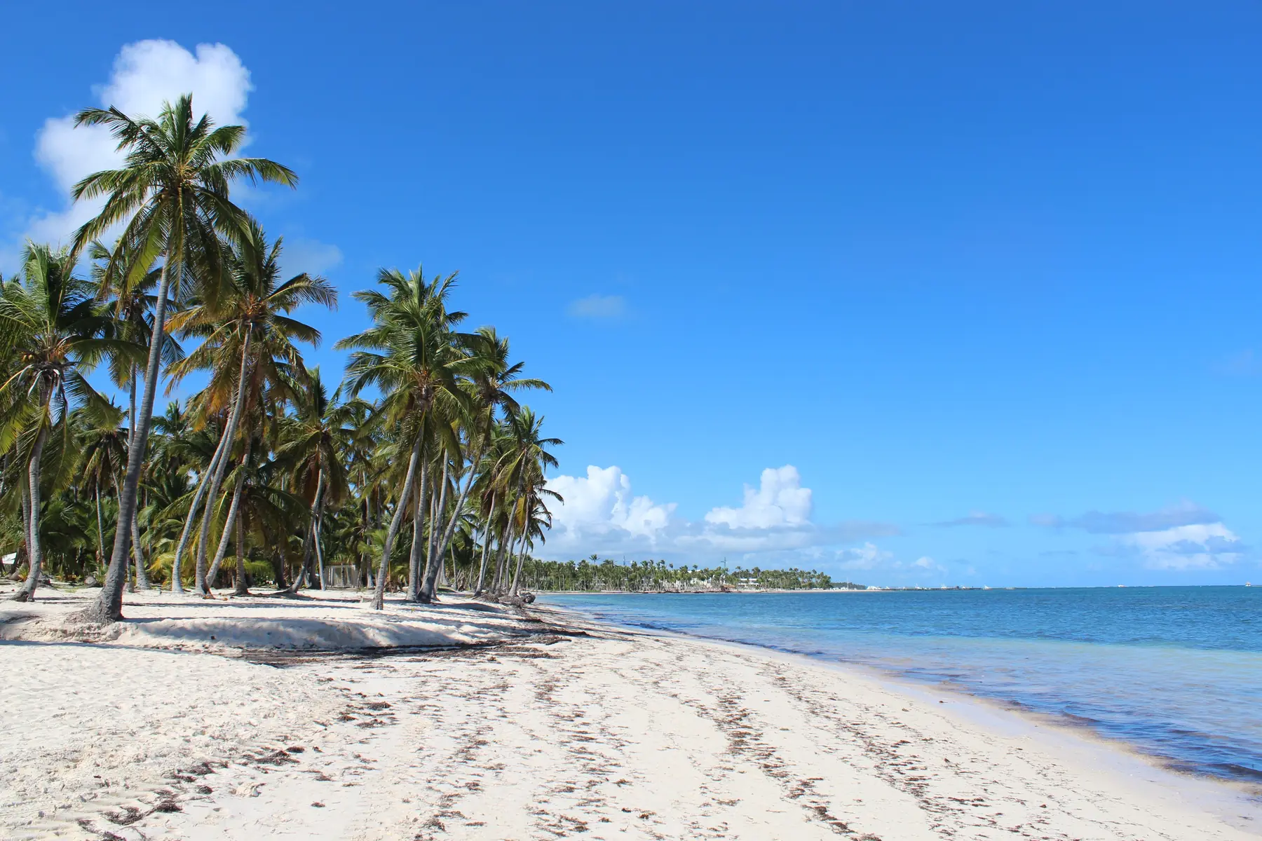 Høje kokospalmer over en hvid sandstrand og turkist vand ved Cabeza de Toro i Punta Cana