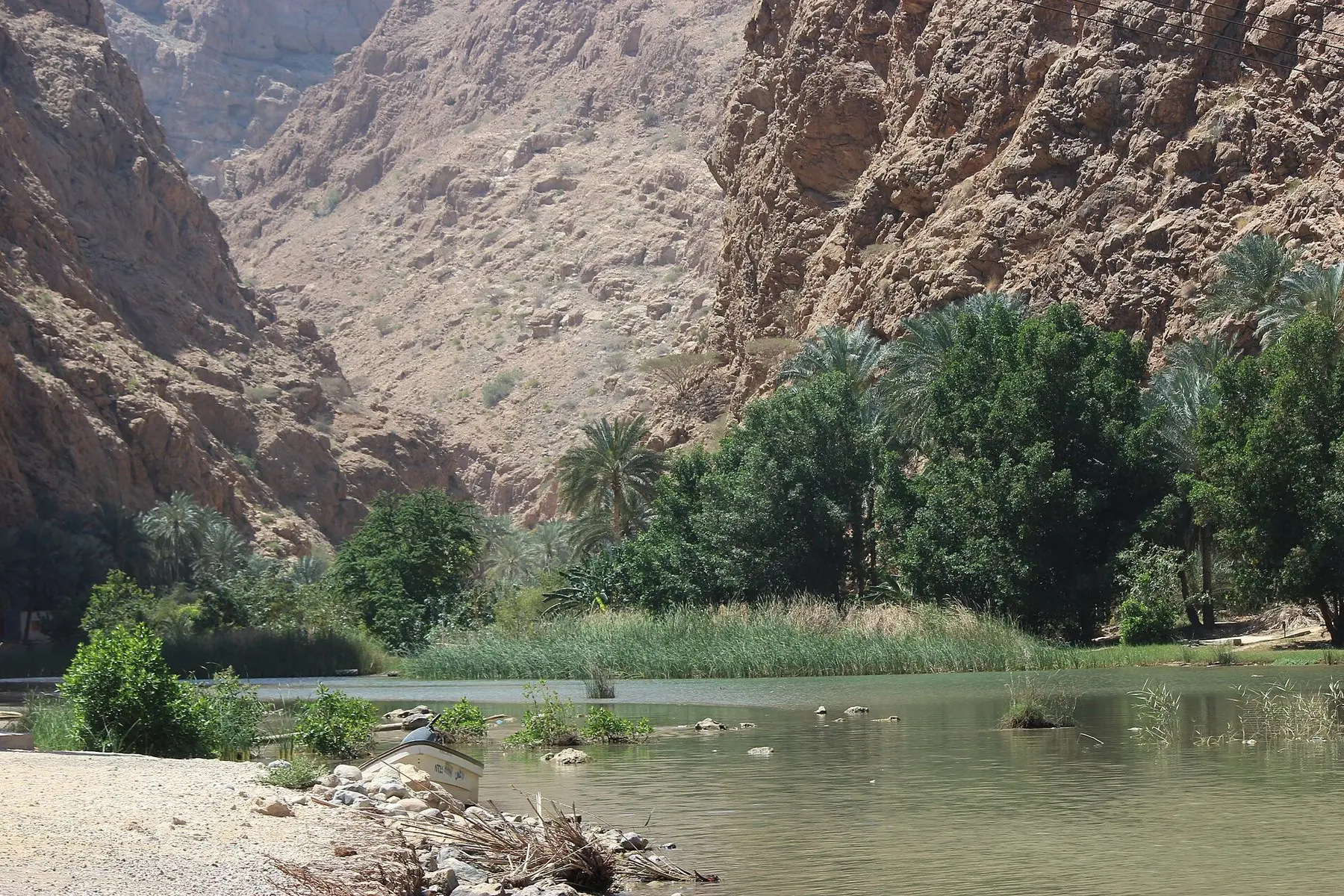 Grønt vand og palmer mellem høje, stejle klippevægge i kløften Wadi Shab