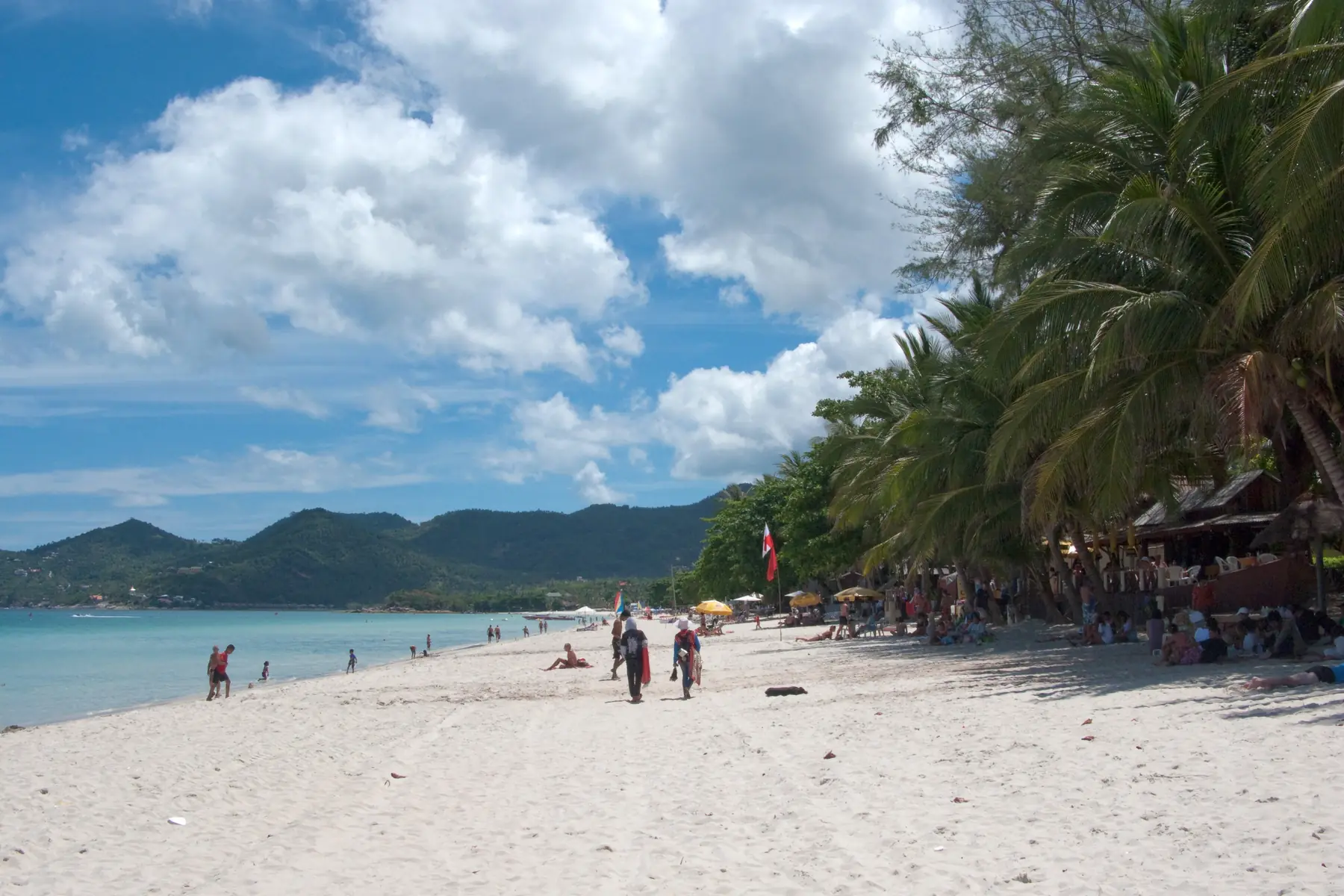 Hvid sandstrand med kokospalmer, badegæster og grønne bakker ved det turkise hav på Koh Samui
