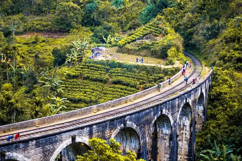 Den buede jernbanebro Nine Arch Bridge med stenbuer mellem teplantager og tropisk skov i højlandet
