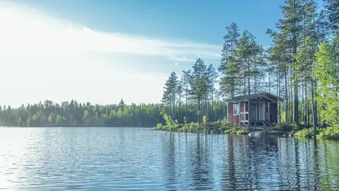 Et lille rødt træhus mellem høje fyrretræer ved bredden af en blank skovsø en lys sommeraften