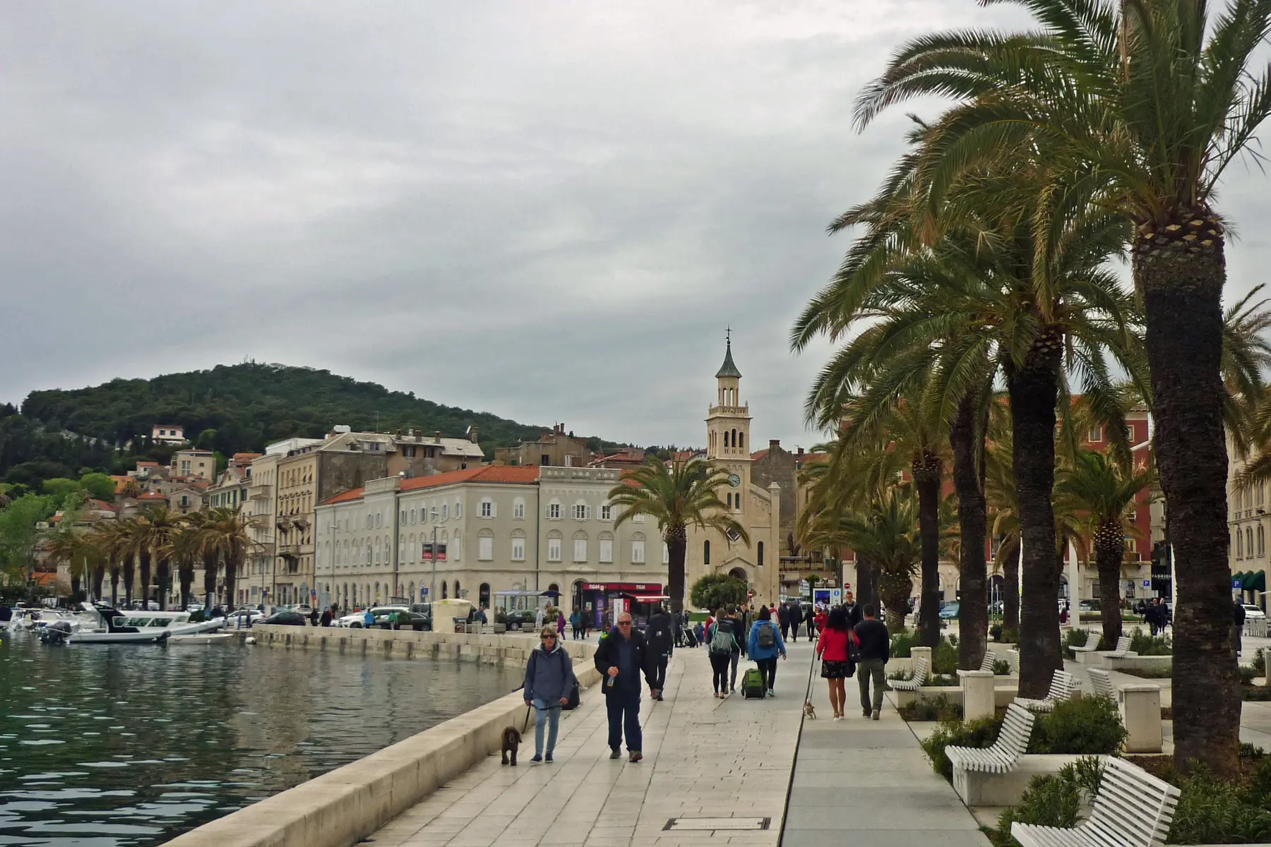 Palmepromenaden Riva langs havnen i Split med gamle huse og et kirketårn