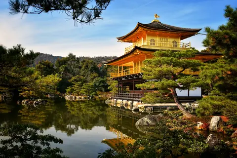 Det gyldne tempel Kinkaku-ji i Kyoto spejler sig i dammen mellem fyrretræer