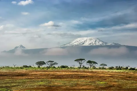 Kilimanjaro med sne på toppen over skyerne og akacietræer på savannen i Amboseli