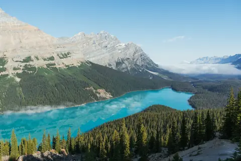 Den turkise gletsjersø Peyto Lake mellem nåleskov og grå klippetinder i Banff-nationalparken i de canadiske Rocky Mountains