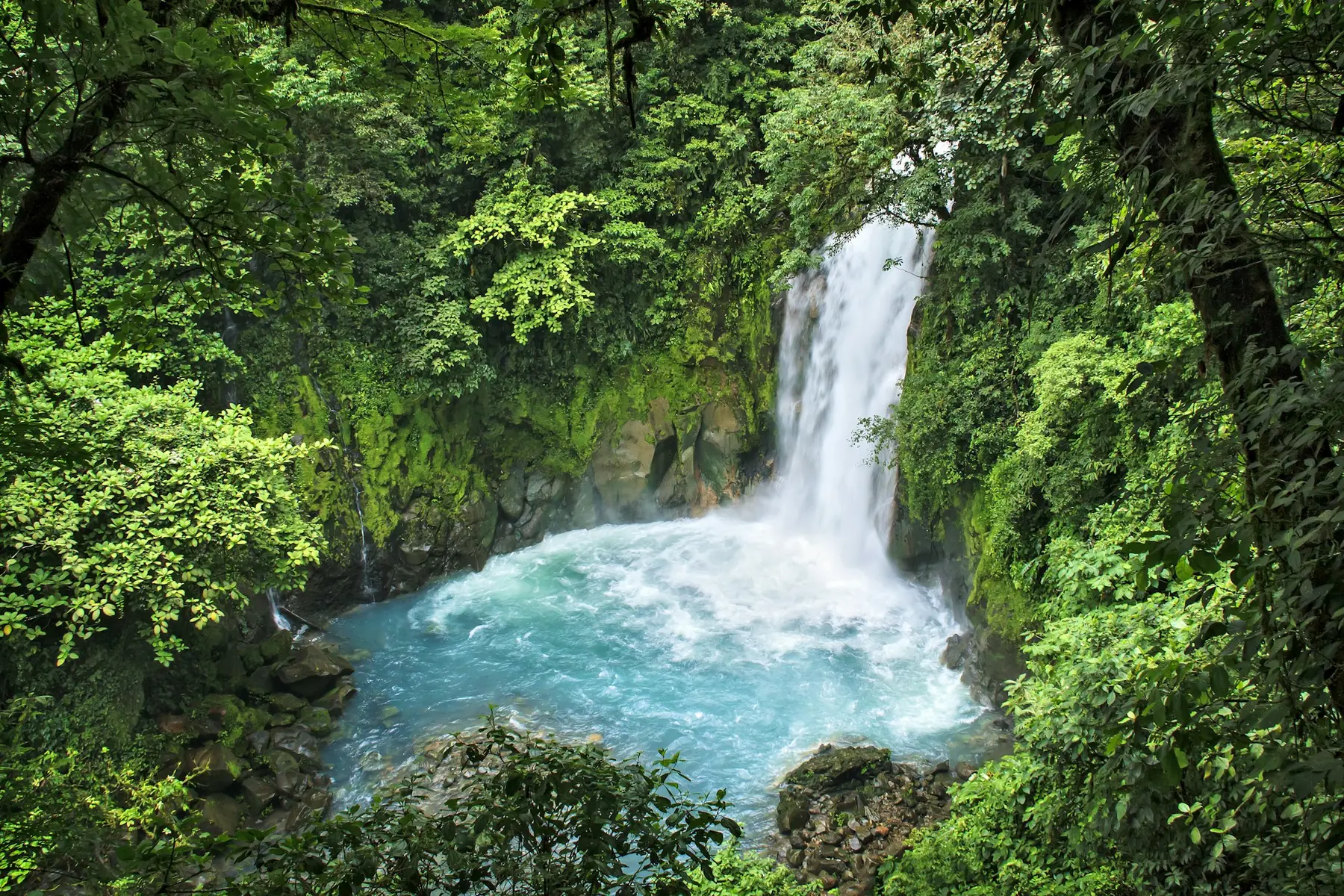 Vandfaldet Catarata Río Celeste styrter ned i et turkisblåt bassin omgivet af tæt regnskov i Costa Rica
