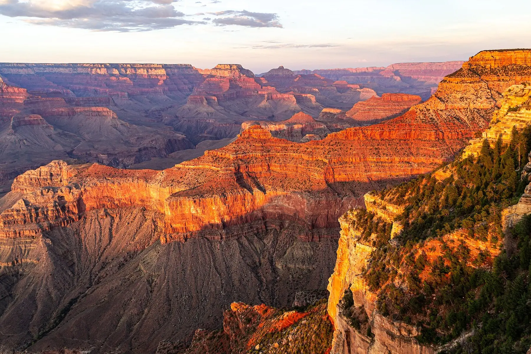 Grand Canyons røde klippeterrasser i aftensol set fra South Rim