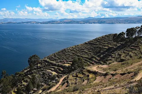 Inkaterrasser på en skråning ned mod den dybblå Titicaca-sø med bjerge i det fjerne